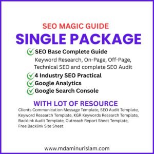 SEO Magic Guide | Single Package